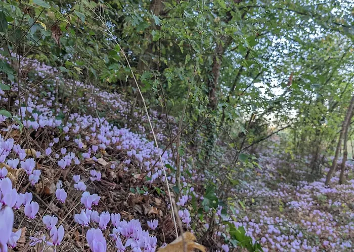 Le Perceau 게스트하우스